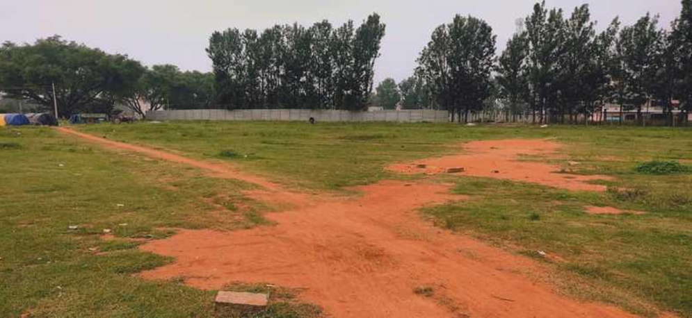 SPRINGFIELDS BY REILLY HOMES